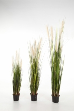 Reed gras witte pluimen 120cm