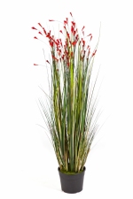 Gras 'bloeiend' koraalrood 120cm