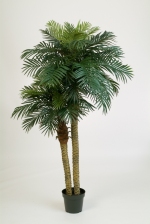 kunstplant Phoenix palm dubbele stam 195cm