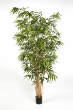 kunstplant New Bamboe big leaf 240cm