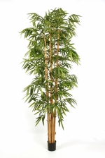 kunstplant New Giant Bamboe big leaf 240cm