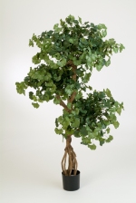 Kunstplant Sweet gingko on crazy trunk 145cm brandvertraagd