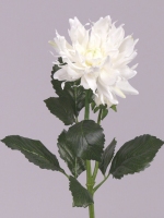 Dahlia 75cm wit 