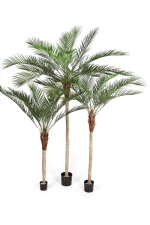 Phoenixpalm kunststof 210cm