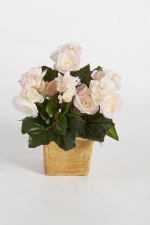 Begonia Bush 20cm Roze