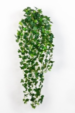 English Ivy 85cm