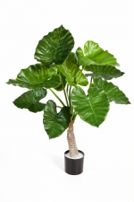 Kunstplant Alocasia Calidora 80cm