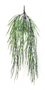 Hangende wilgen bush - Hanging Willow 80cm