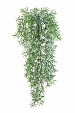 Wilde Springerie hangplant 70cm