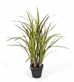 Natuurlijk gras in pot 75cm