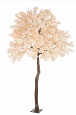 Bloesemboom perzik/peach 320cm