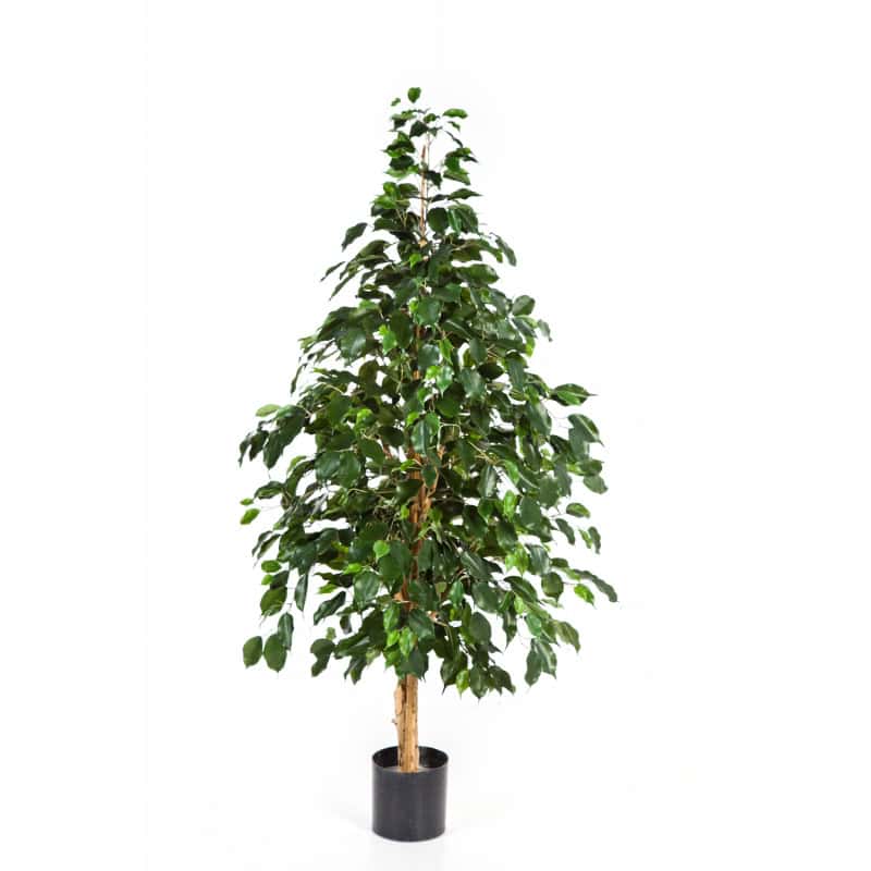 Kunstplant Natural Exotica Ficus 180cm brandvertraagd