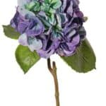 Blauw-groen