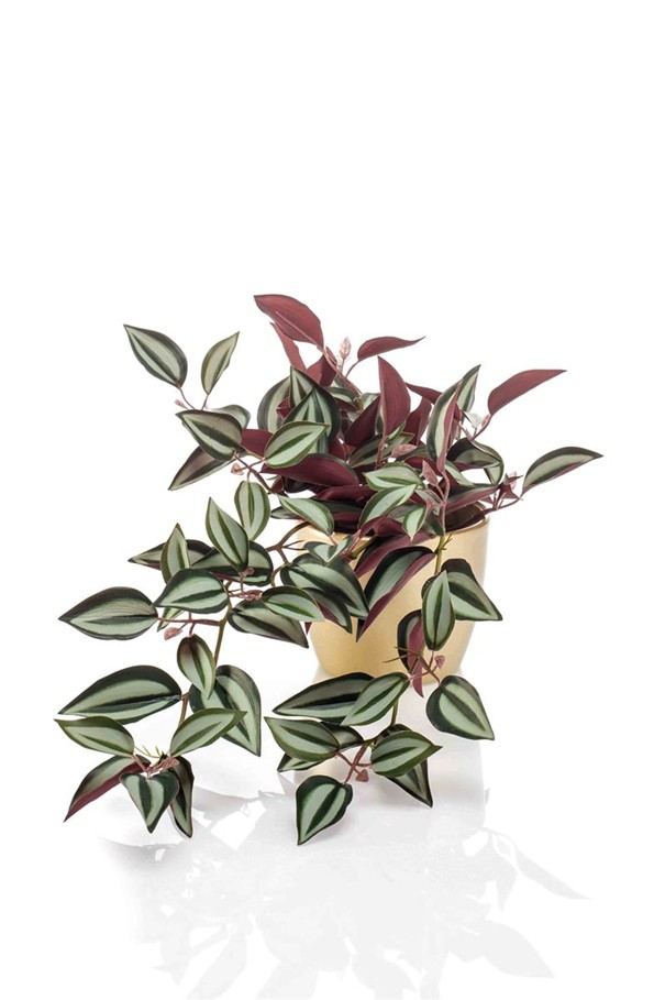 Kunsthangplant Tradescantia bush green/burgundy 40cm