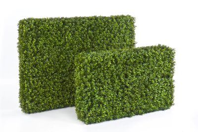 Kunsthaag Buxus op zichzelf staand