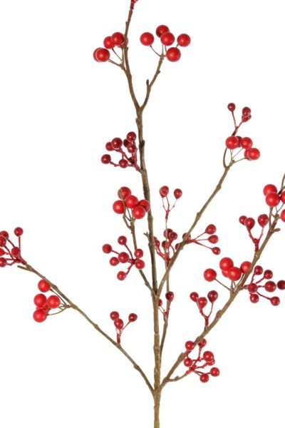 Bessentak, 6x vertakt, 21 bessentoeven 83 besjes 80 cm