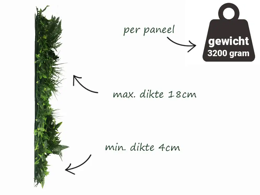 Plantenwand vegetatie Jungle groen – FR – 100x100cm - Afbeelding 6
