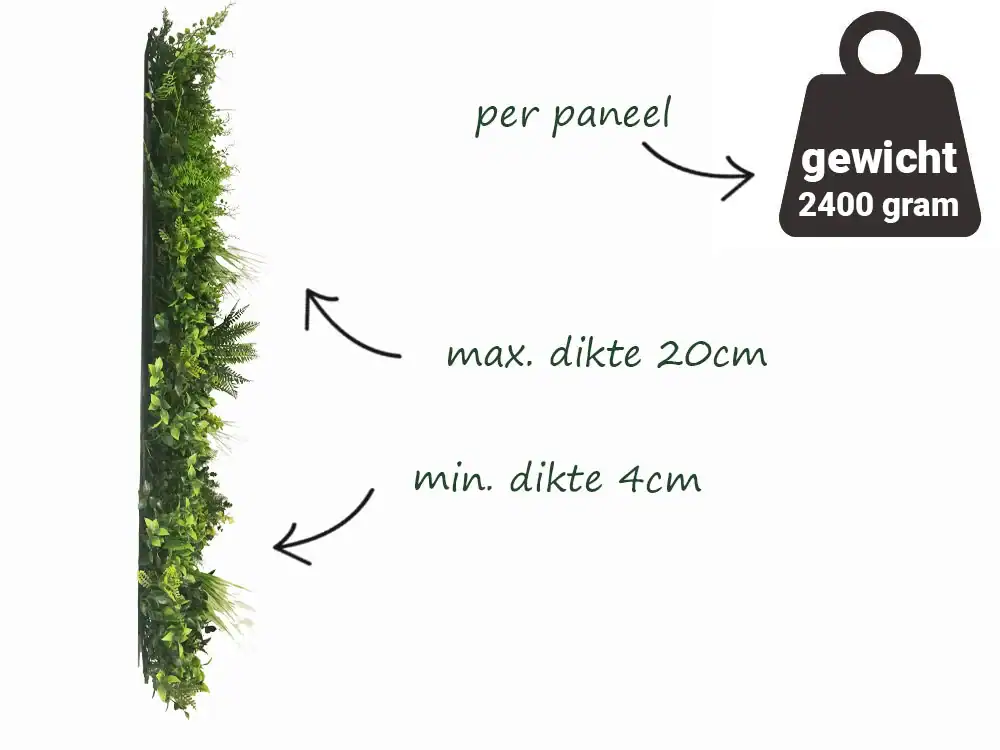 Plantenwand vegetatie fijn gevarieerd - 100x100cm - Afbeelding 5