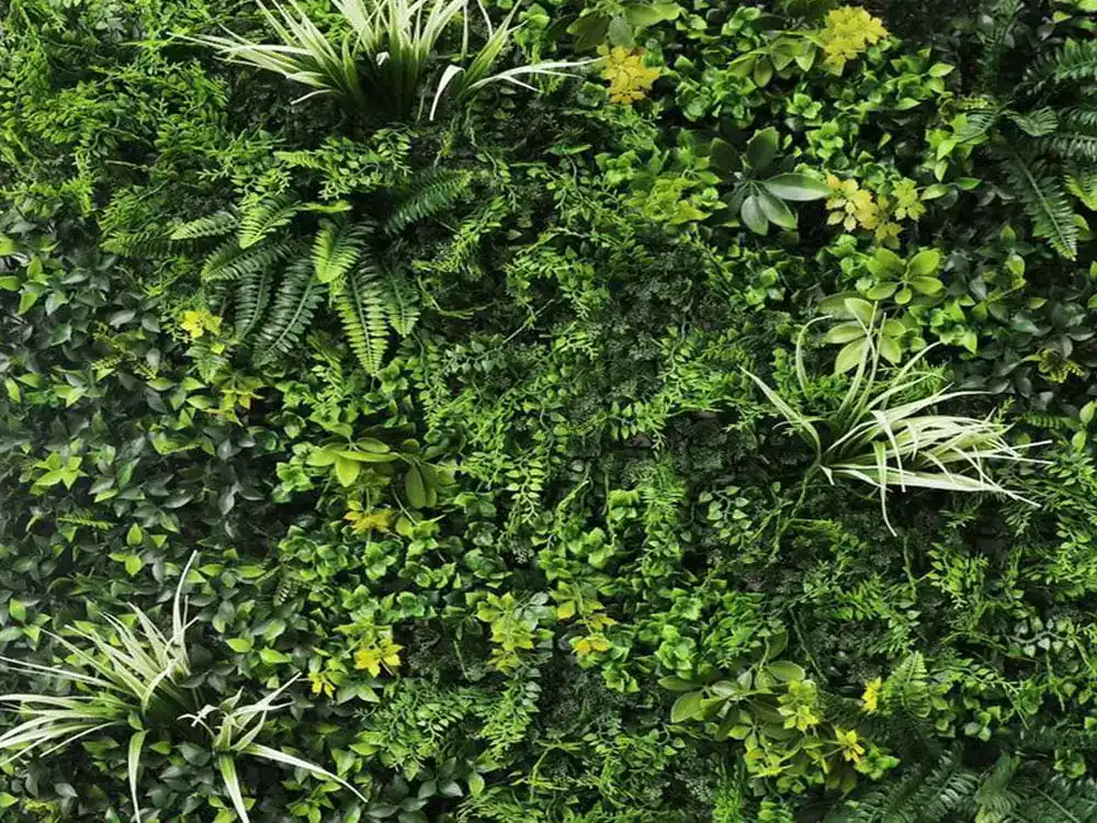 Plantenwand vegetatie fijn gevarieerd - 100x100cm - Afbeelding 2