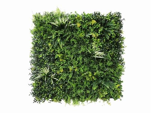 Plantenwand vegetatie fijn gevarieerd - 100x100cm