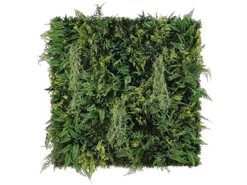 Plantenwand Baardmos Varens begroeiing 100x100cm FR-b