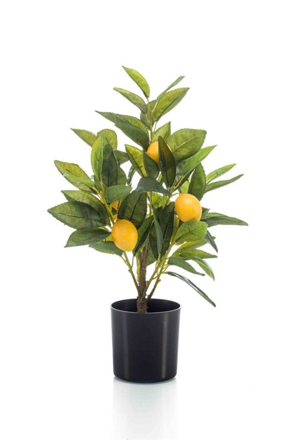 Kunstplant Citroenboompje 40cm