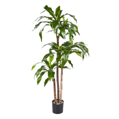 Kunstplant Dracaena Fragrans