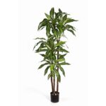 Groen-wit