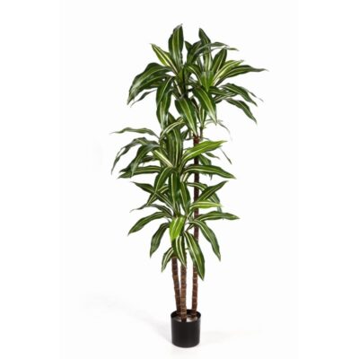 Kunstplant Dracaena Fragrans in zwarte binnenpot