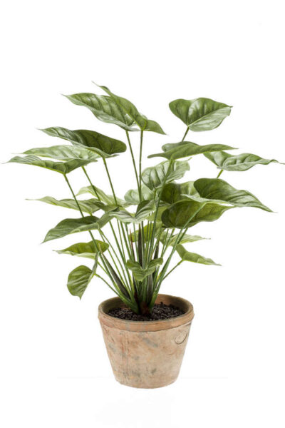 Kunstplant Anthurium bush 50cm 25lvs zonder pot
