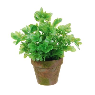 Kunstplant Euonymus in pot 18cm