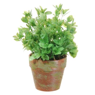 Kunstplant Euonymus 24cm groen