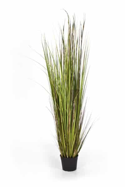 Kunstsiergras Bamboe in pot