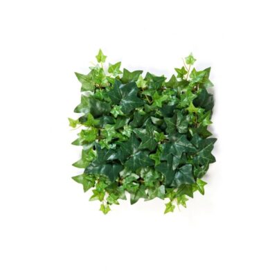 Kunsthaag Ivy mat 30x30cm