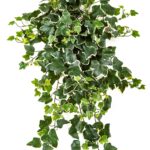 Groen-wit