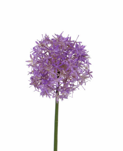 kunstbloem Allium (Sierui) 33cm lavendel