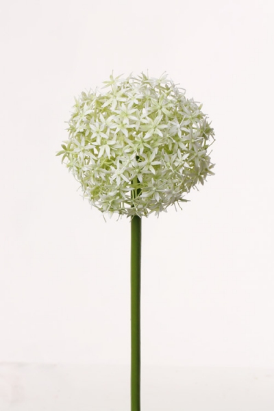 kunstbloem Allium (Sierui) 33cm wit groen