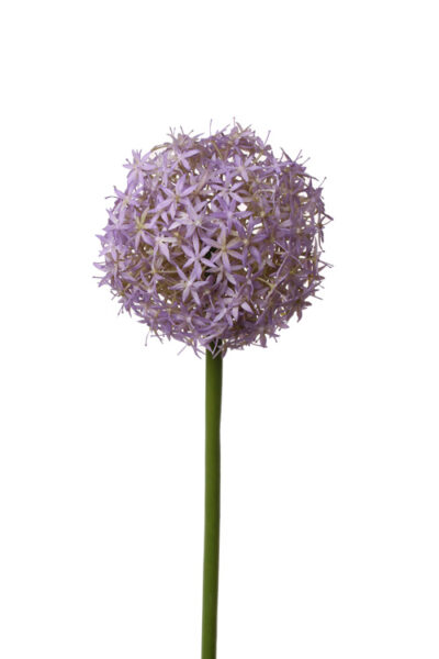 Kunstbloem Alliumbol bloeiend grande, ø12cm, 76cm