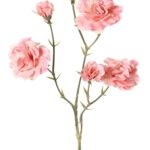 Licht-roze