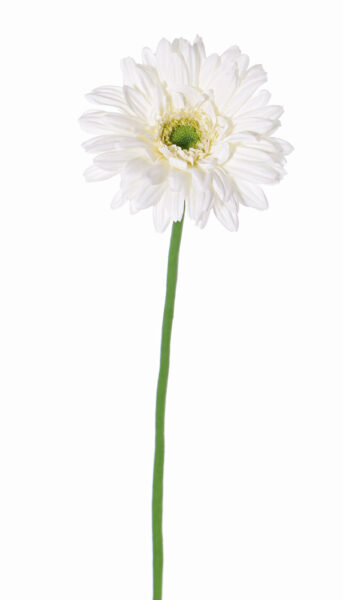 Kunstbloem Gerbera single, ø12cm, long stem, 63 cm b