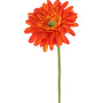 Oranje