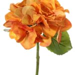 Oranje