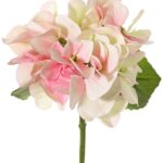 Wit-roze