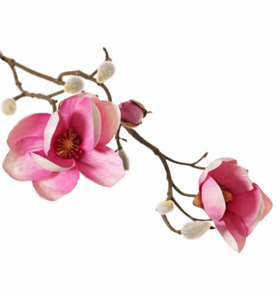 Kunstbloem Magnolia (Beverboom) x3, 2 bloemen (Ø 8 5 cm), 8 knoppen (behaard), 53 cm