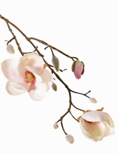 Kunstbloem Magnolia (Beverboom) x3, 2 bloemen (Ø 8 5 cm), 8 knoppen (behaard), 53 cm