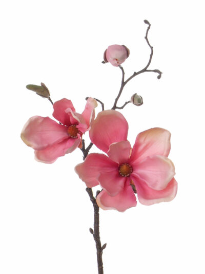 Kunstbloem Magnolia steker RS 48cm
