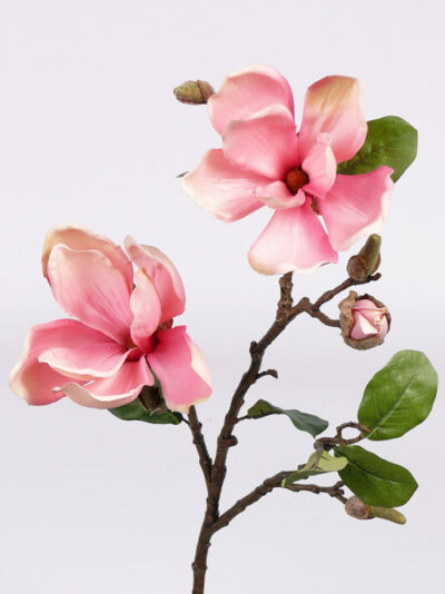 Kunstbloem Magnolia tak x2, 6knp 72cm