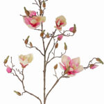 Roze-wit