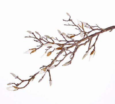 Kunstbloem Magnoliaknoptak, 34 knoppen (7 open knoppen) 104 cm