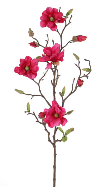 Kunstbloem Magnoliatak fijn, 4 bloemen (Ø 8cm), 4 bloemknop (5,5cm) 4 knop, 14 blad, 78cm